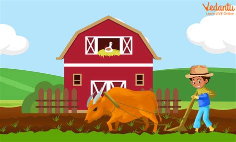 Farmer Story [Kwento ng Magsasaka] .
